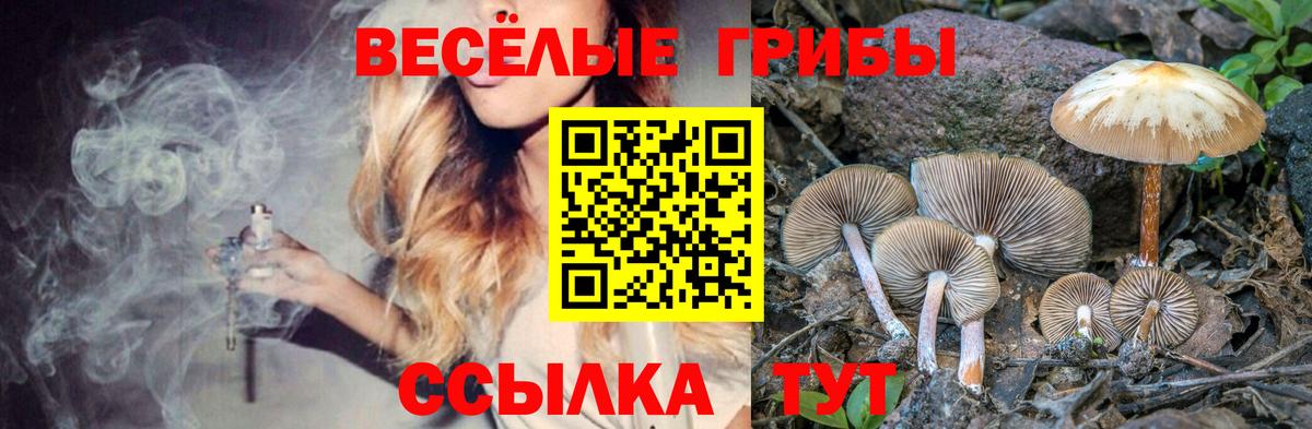 Галлюциногенные грибы MAGIC MUSHROOMS Удомля