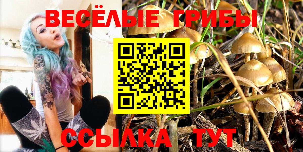 Галлюциногенные грибы MAGIC MUSHROOMS  Псилоцибиновые грибы Psilocybe  Удомля  Вход с VPN 